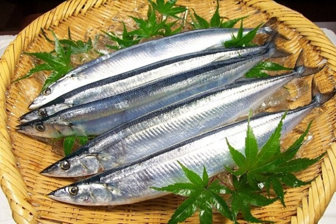 4 loài thủy sản xuất khẩu sang Nhật phải có chứng nhận khai thác 