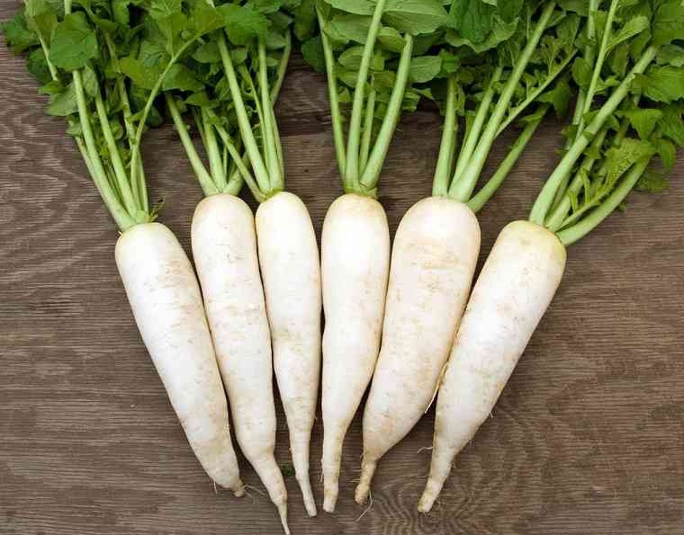 5 loại thực phẩm tuyệt đối không ăn cùng củ cải trắng, có thể gây bướu cổ 