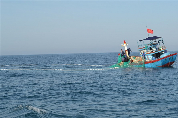 Bình Thuận: Ngư dân không dám ra khơi vì dịch COVID, chi phí đánh bắt tăng cao giá bán rớt thảm
