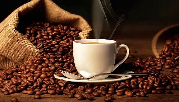 Giá cà phê hôm nay 11/3: Đảo chiều giảm mạnh cà phê robusta