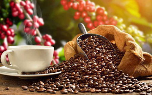 Giá cà phê hôm nay 14/10: Bật tăng vọt 800 đồng/kg