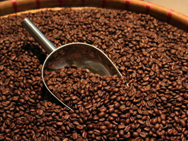 Giá cà phê hôm nay 14/9: Robusta tăng nhẹ, chuyên gia dự báo tiếp tục tăng trong tuần này