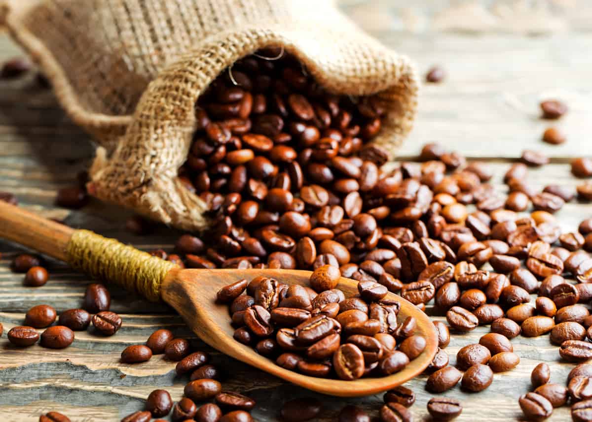 Giá cà phê hôm nay 20/11: Đảo chiều tăng mạnh trên sàn quốc tế 