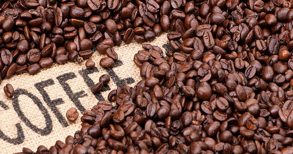 Giá cà phê hôm nay 28/11: Giá cà phê trong nước chạm mức cao nhất trong 10 năm