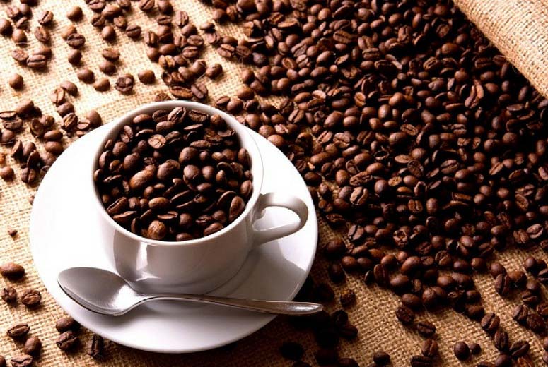 Giá cà phê hôm nay 28/9: giảm đến 400 đồng/kg
