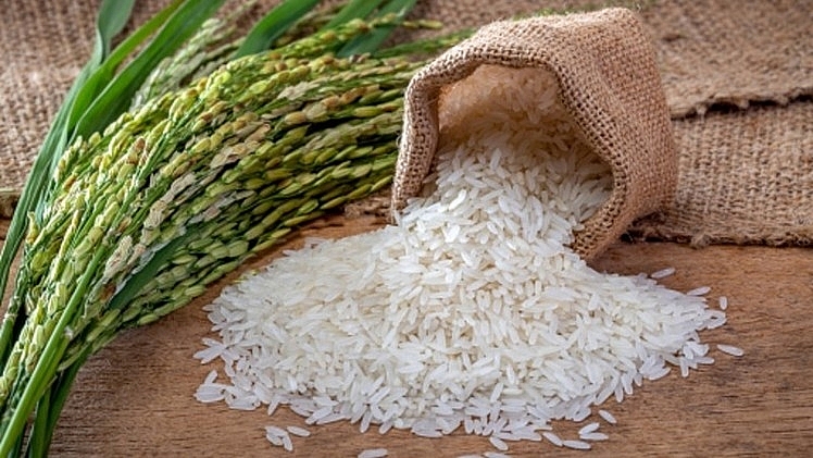Giá lúa gạo hôm nay 10/10: Gạo chững lại phiên cuối tuần