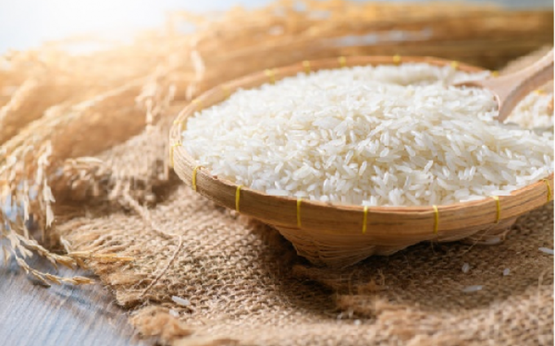 Giá lúa gạo hôm nay 1/11: Giá lúa ổn định, giá gạo xu hướng tăng
