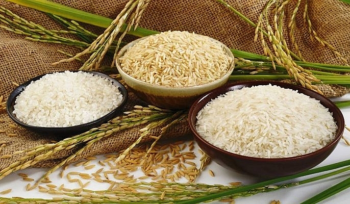 Giá lúa gạo hôm nay 11/10: Duy trì ở mức cao