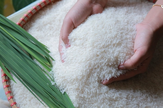 Giá lúa gạo hôm nay 17/10: Giá thấp nhất vụ