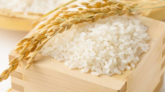 Giá lúa gạo hôm nay 1/9/2021: Giá gạo tăng sau nhiều ngày đi ngang 