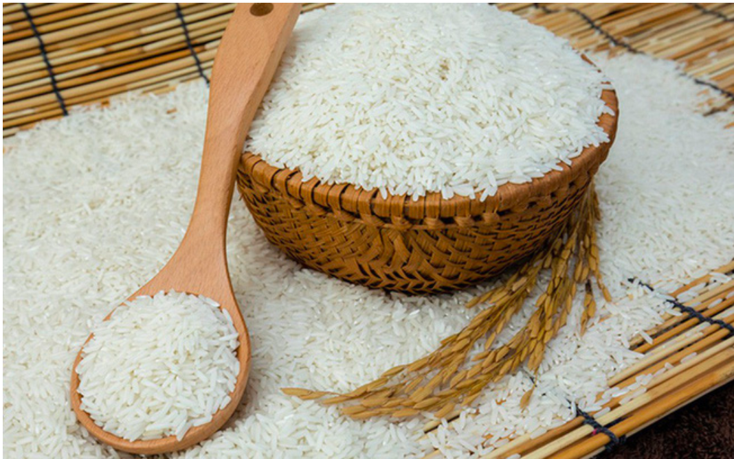 Giá lúa gạo hôm nay 21/9: Lúa biến động trái chiều, gạo ổn định