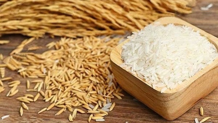 Giá lúa gạo hôm nay 26/8/2021: Tăng giảm trái chiều