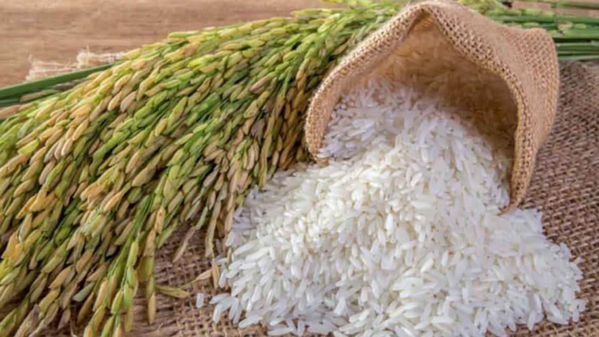 Giá lúa gạo hôm nay 7/9: Giá gạo tăng mạnh sau nhiều phiên ổn định 