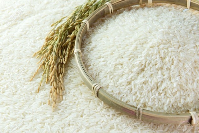 Giá lúa gạo hôm nay ngày 6/11: Giá lúa tiếp tục tăng thêm 200 đồng/kg