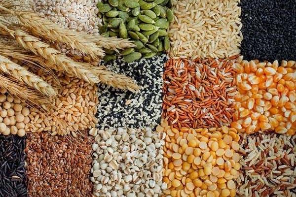 Giá ngũ cốc hôm nay 21/10: Đậu tương đảo chiều tăng, ngô và lúa mì giảm 