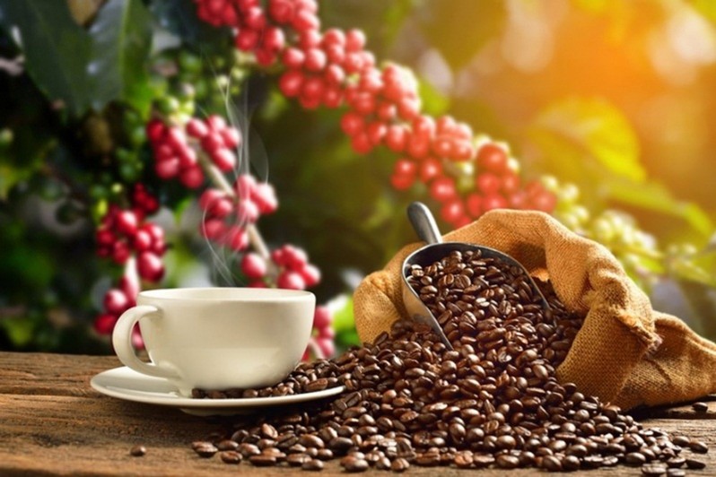 Nông sản 24h: Cà phê vẫn xu hướng giảm, tiêu có dấu hiệu tăng nhẹ