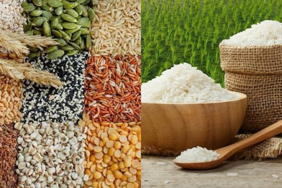 Giá nông sản hôm nay 23/12: Giá ngũ cốc tăng mạnh; lúa gạo ổn định  