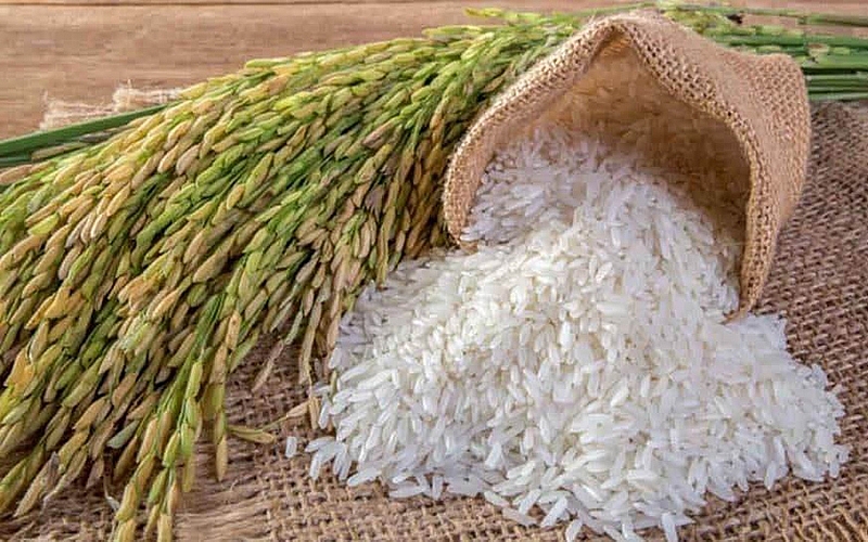Giá nông sản hôm nay 24/3: Giá lúa gạo tăng giảm trái chiều 