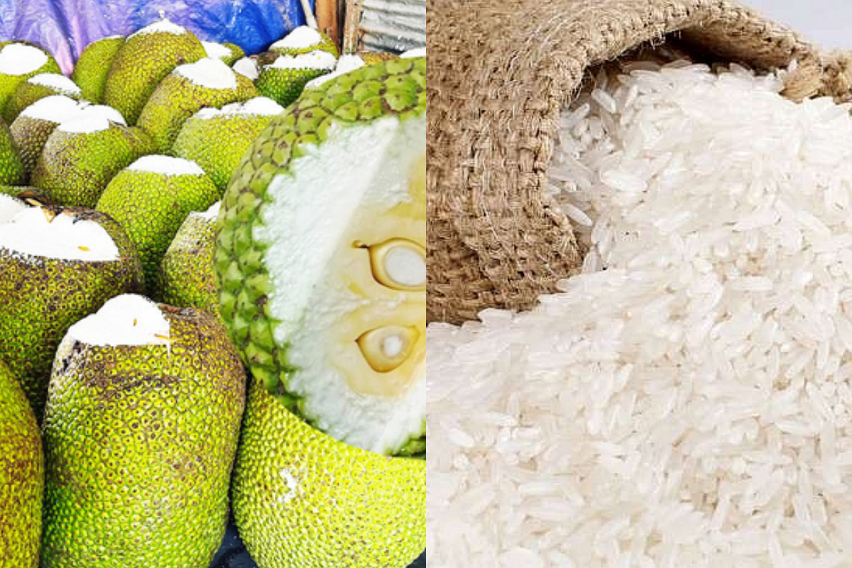 Giá nông sản hôm nay 28/12: Giá mít Thái xuất khẩu, giá lúa gạo giảm mạnh 