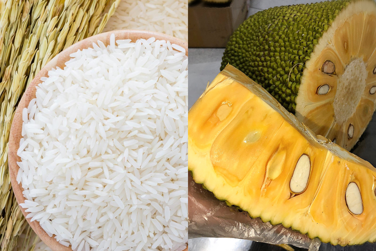 Giá nông sản hôm nay 3/12: Mít Thái giữ đà giảm, giá gạo, ngũ cốc tăng 