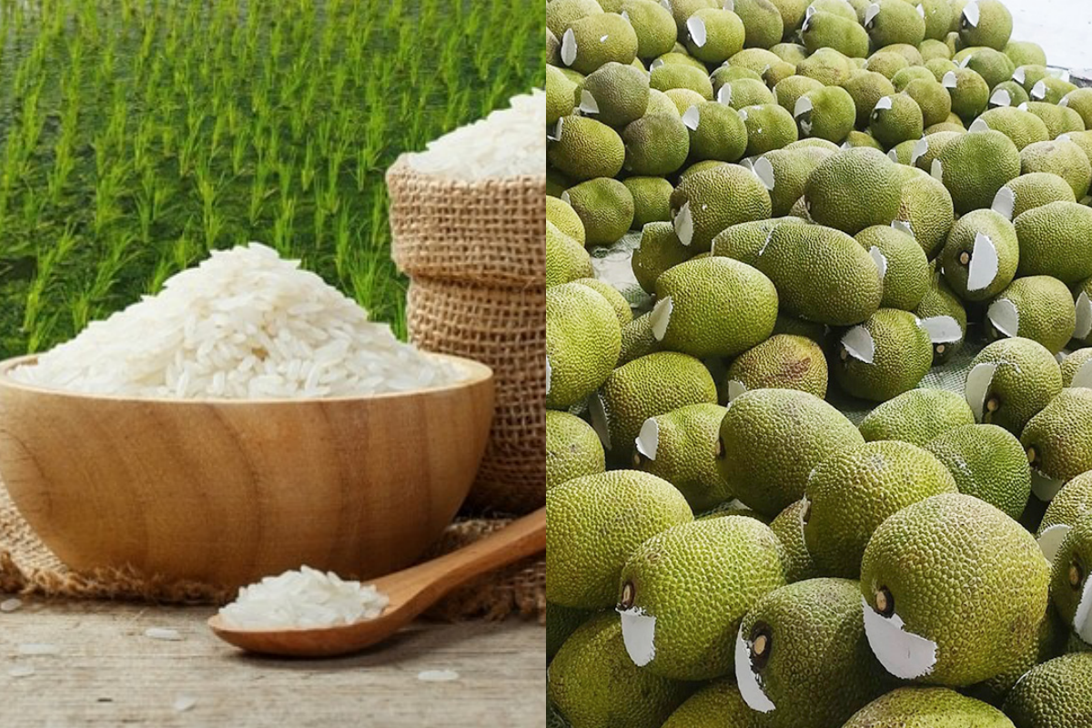 Giá nông sản hôm nay 8/3: Giá mít Thái tăng mạnh; giá lúa gạo giảm 