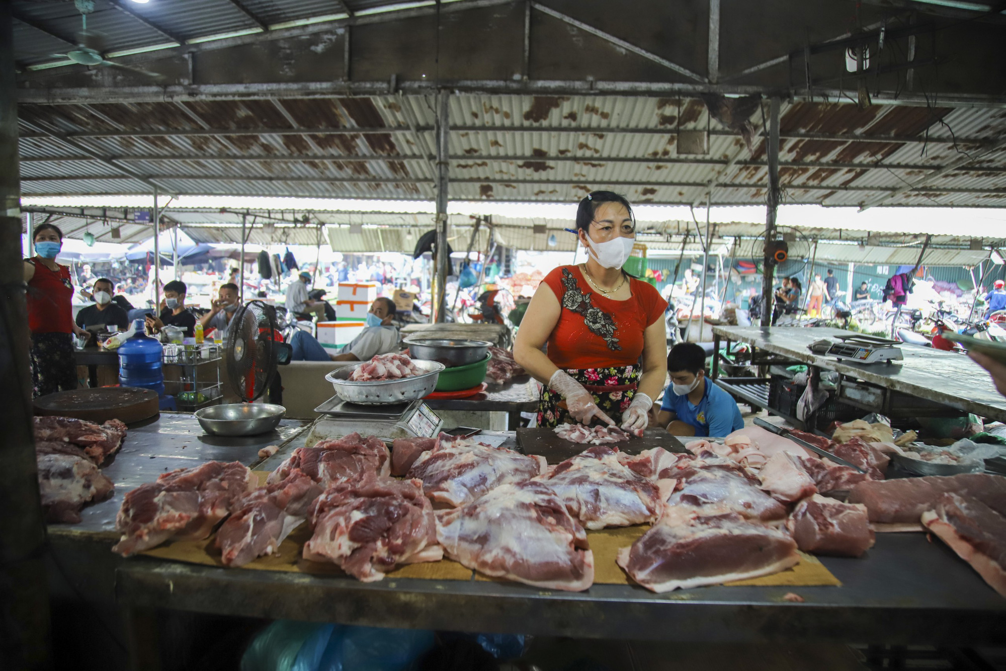 Giá thịt lợn thấp thảm hại, nông dân lỗ đậm mỗi tạ 