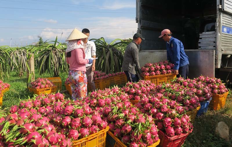 Giá trái cây tăng khủng sau khi được thông quan sang Trung Quốc 