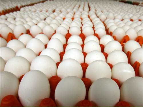 Hà Nội: Đảm bảo cung ứng thực phẩm cho người dân, giá trứng gia cầm đã giảm nhiều so với cuối tháng 7