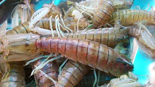 Không có khách du lịch, hải sản Phú Quốc giảm giá mạnh