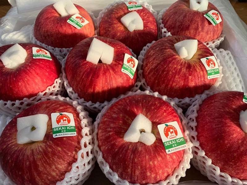 Loại táo Nhật khổng lồ có quả nặng đến 1kg, đổ bộ chợ Việt với giá bình dân 