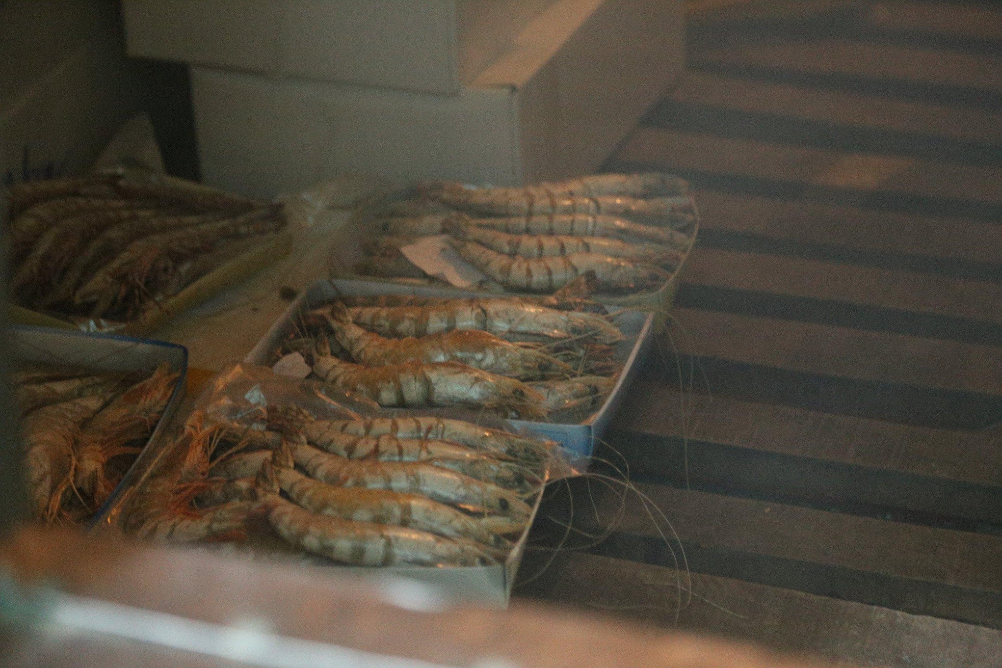 Nghệ An: Kêu gọi cả nước giải cứu hàng nghìn tấn hải sản