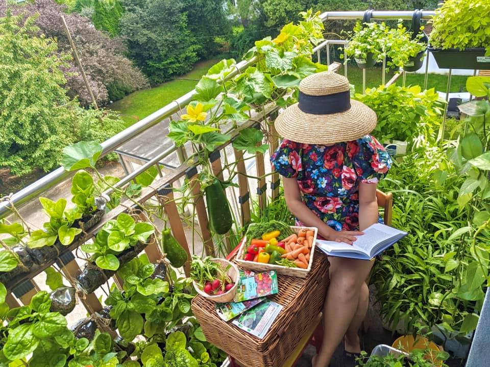 Người Việt ở Pháp chia sẻ cách làm vườn rau trên ban công chung cư 2,5m2