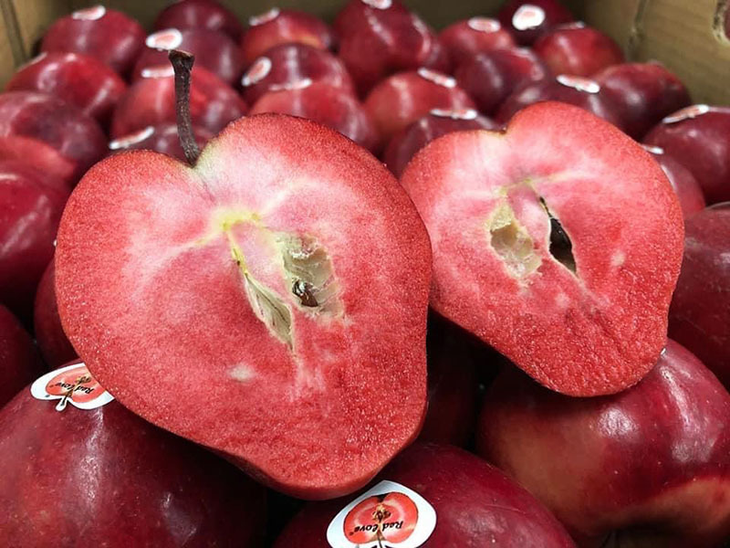 Quả táo có tên đặc biệt, ruột đỏ thẫm, giá siêu đắt vẫn được chị em Hà Thành săn lùng 