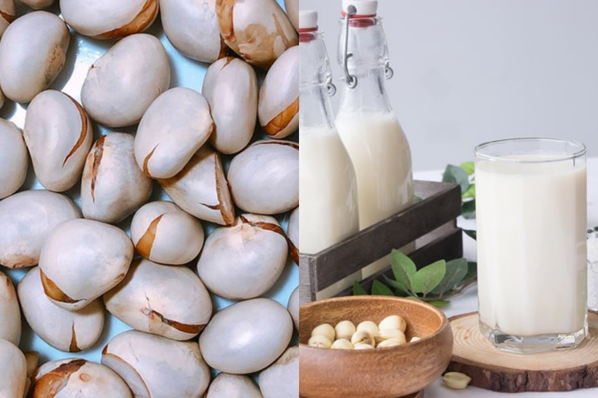 Sữa hạt mít siêu thơm ngon và bổ dưỡng cho sức khỏe