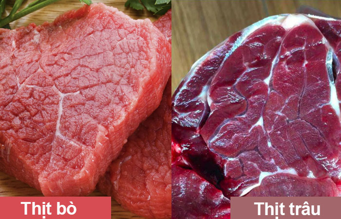 Thịt bò có tốt cho sức khỏe hơn thịt trâu? Cách phân biệt thịt bò và thịt trâu