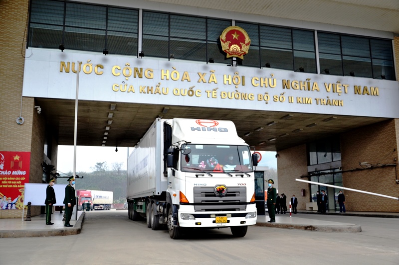 Trung Quốc nhập khẩu chuối trở lại qua cửa khẩu Kim Thành