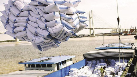 Xuất khẩu gạo Việt Nam tiếp tục tăng mạnh 