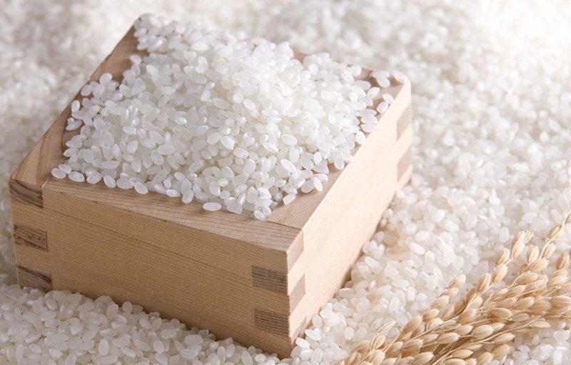 Xung đột Nga – Ukraine kéo giá gạo tấm tăng mạnh 