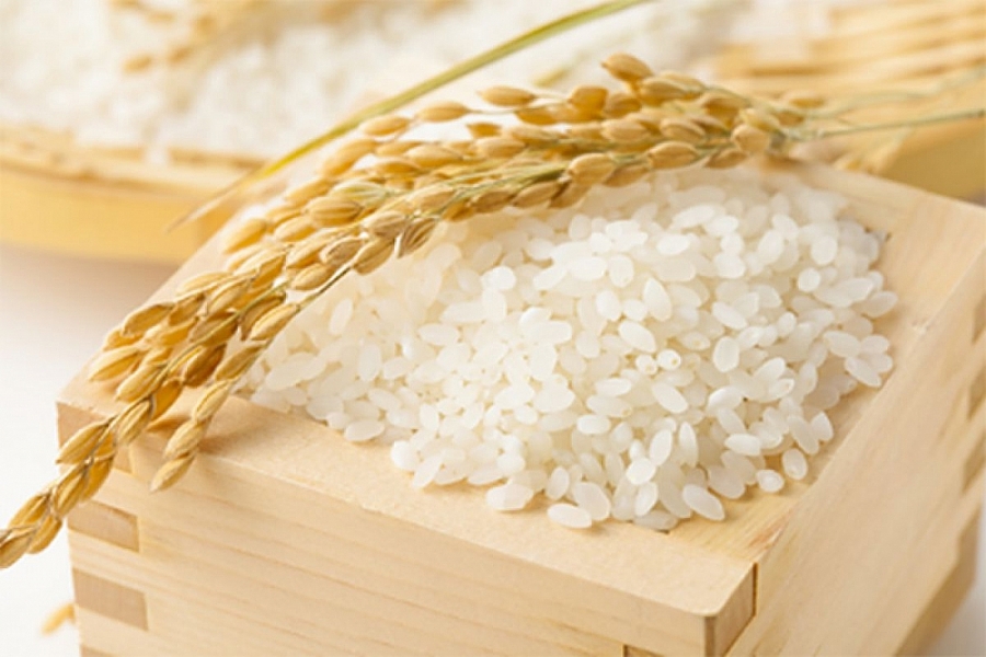 Giá nông sản hôm nay 20/1: Giá gạo tăng giảm trái chiều 