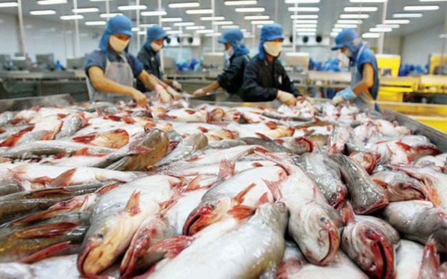 Xuất khẩu cá tra Việt Nam sang Mỹ tăng mạnh 