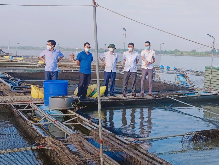 Các lãnh đạo Sở Nông nghiệp và Phát triển nông thôn tỉnh Hải Dương và huyện Nam Sách đi thị sát khu vực nuôi cá tại xã Thái Tân. (Ảnh: Thi Ngọc)