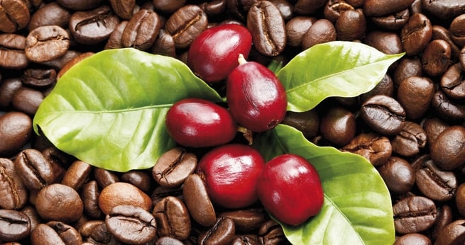 Giá cà phê hôm nay 19/12: Giá cà phê Arabica giảm mạnh 