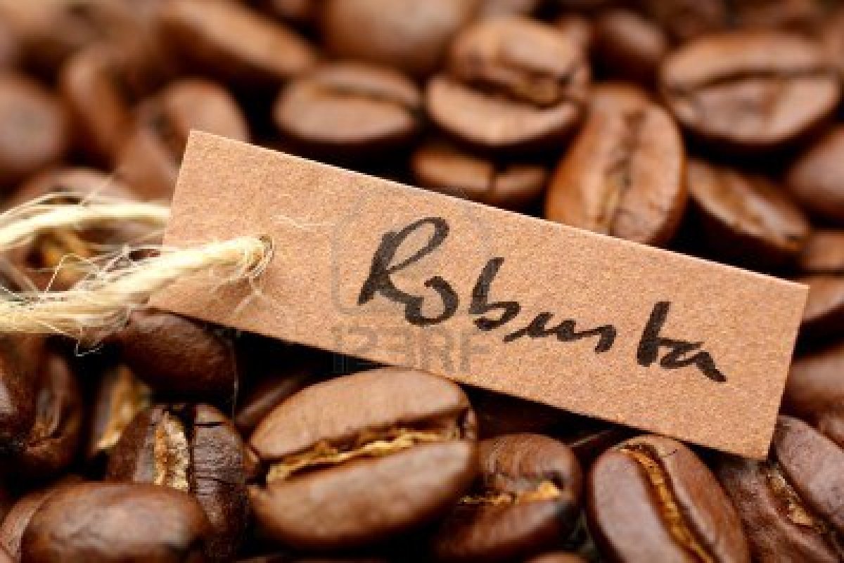 Giá cà phê hôm nay 28/12: Cà phê Robusta duy trì đà tăng 