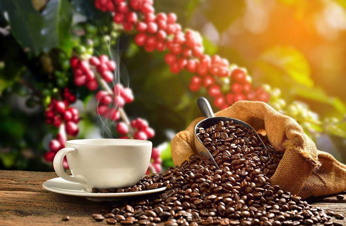 Giá cà phê thế giới giảm do lo ngại về mức tiêu thụ vì ảnh hưởng của dịch Covid-19