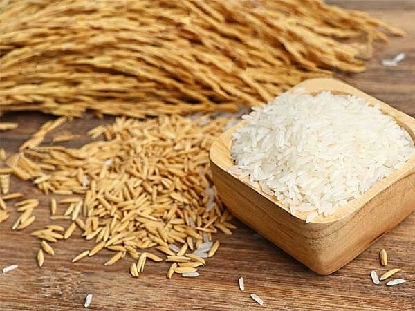 Giá nông sản hôm nay 6/1: Giá lúa gạo tiếp tục tăng 