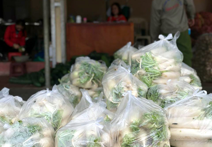 Huyện Gia Lâm còn 50 tấn củ cải cần được hỗ trợ tiêu thụ