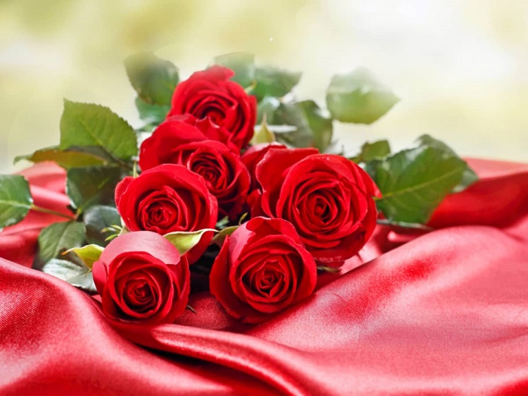 Hoa hồng đỏ mang ý nghĩa thiêng liêng