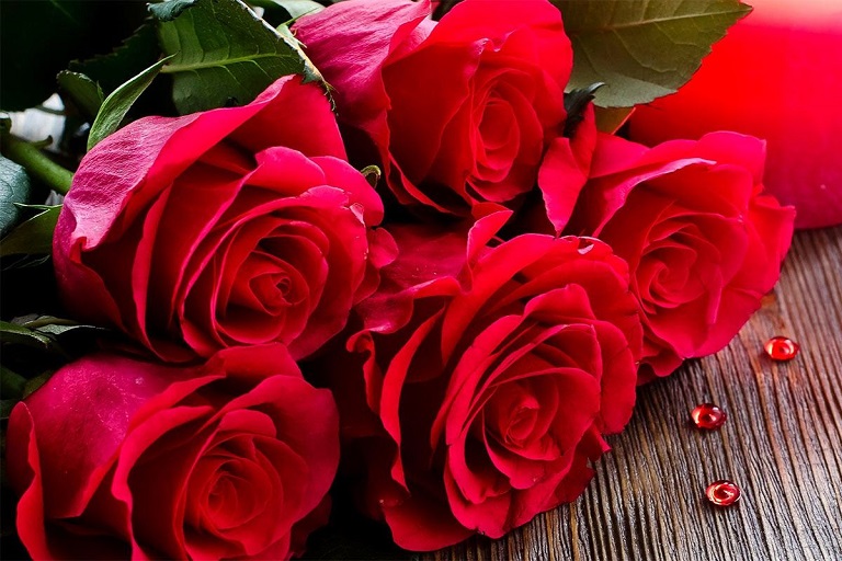 Hoa hồng là món quà 8-3 cực kỳ ý nghĩa cho bạn gái hoặc vợ