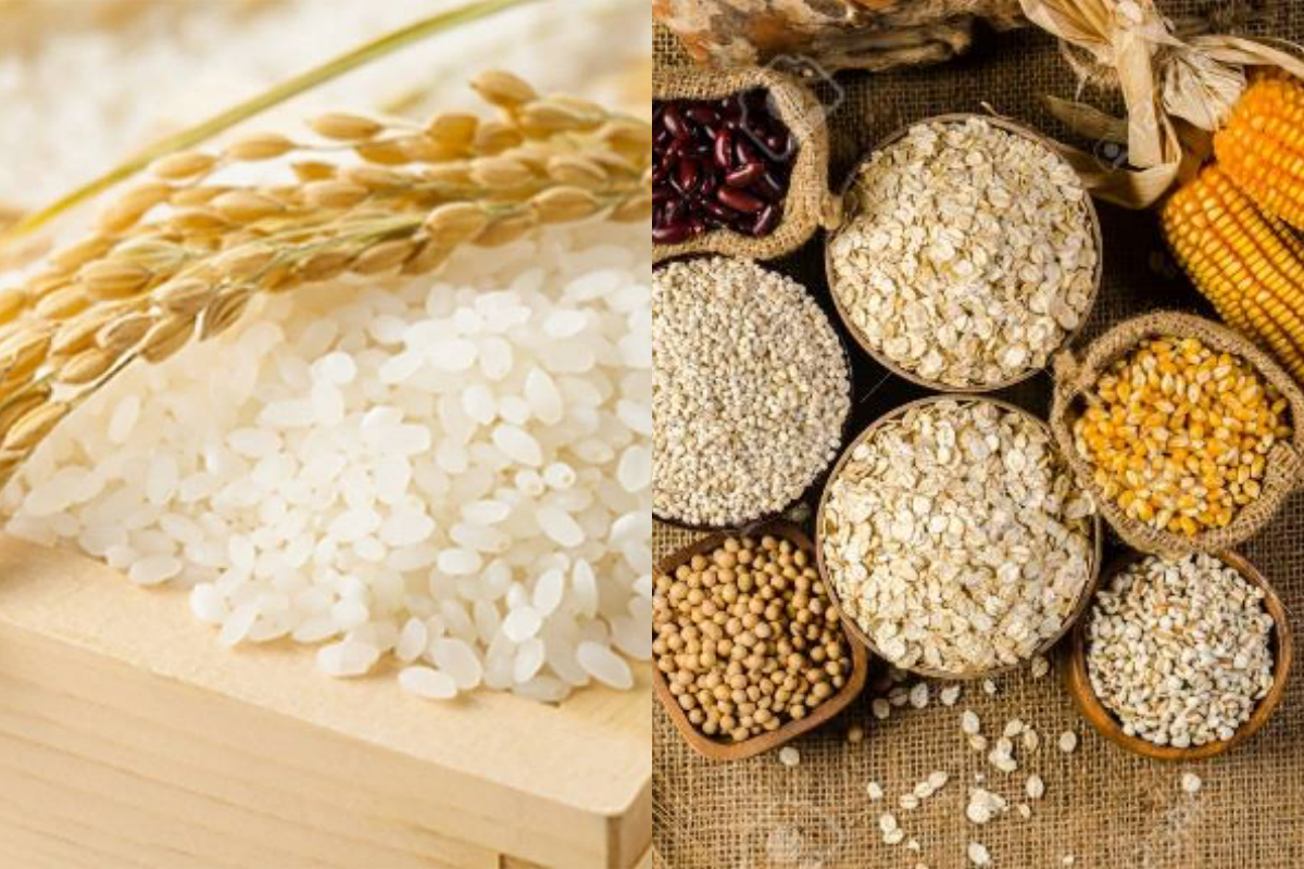 Giá nông sản hôm nay 14/12: Giá ngũ cốc trái chiều; giá lúa gạo tăng 