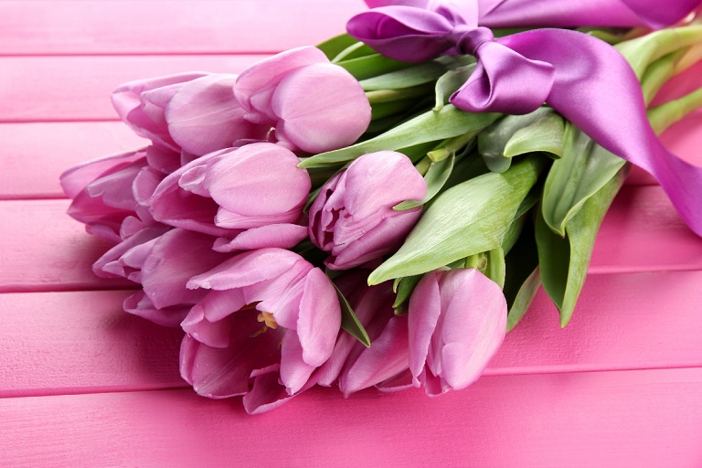 Tùy vào sở thích mỗi người mà chúng ta chọn màu sắc hoa tulip cho phù hợp